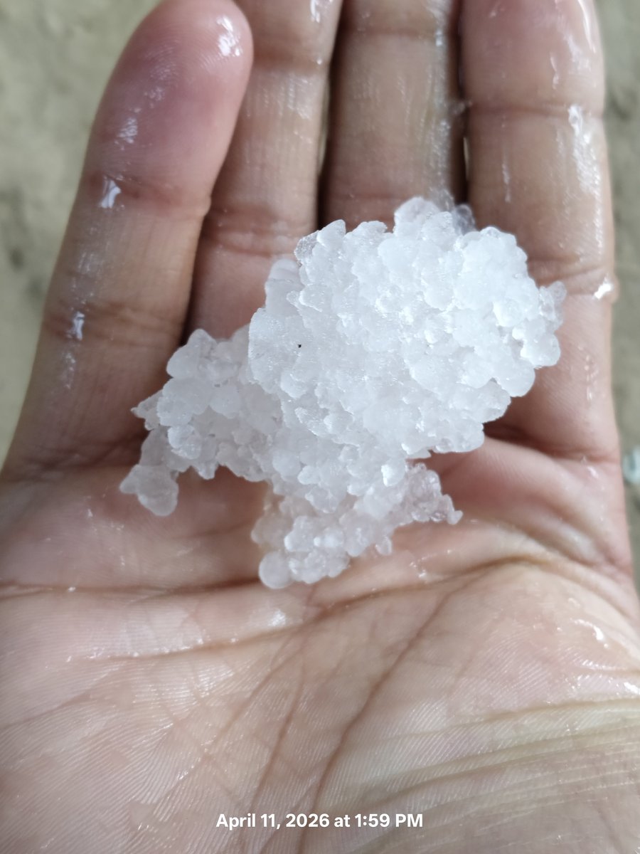 KashmirWeather2's tweet image. My #Area Received intense Hailstorm this afternoon 
📍 Bandipora
