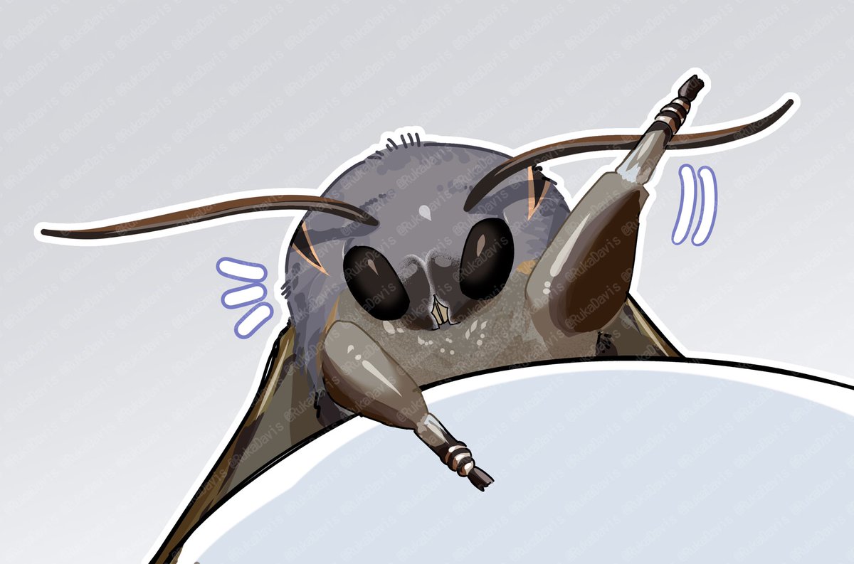 内田るか/Ruka Uchida tweet media