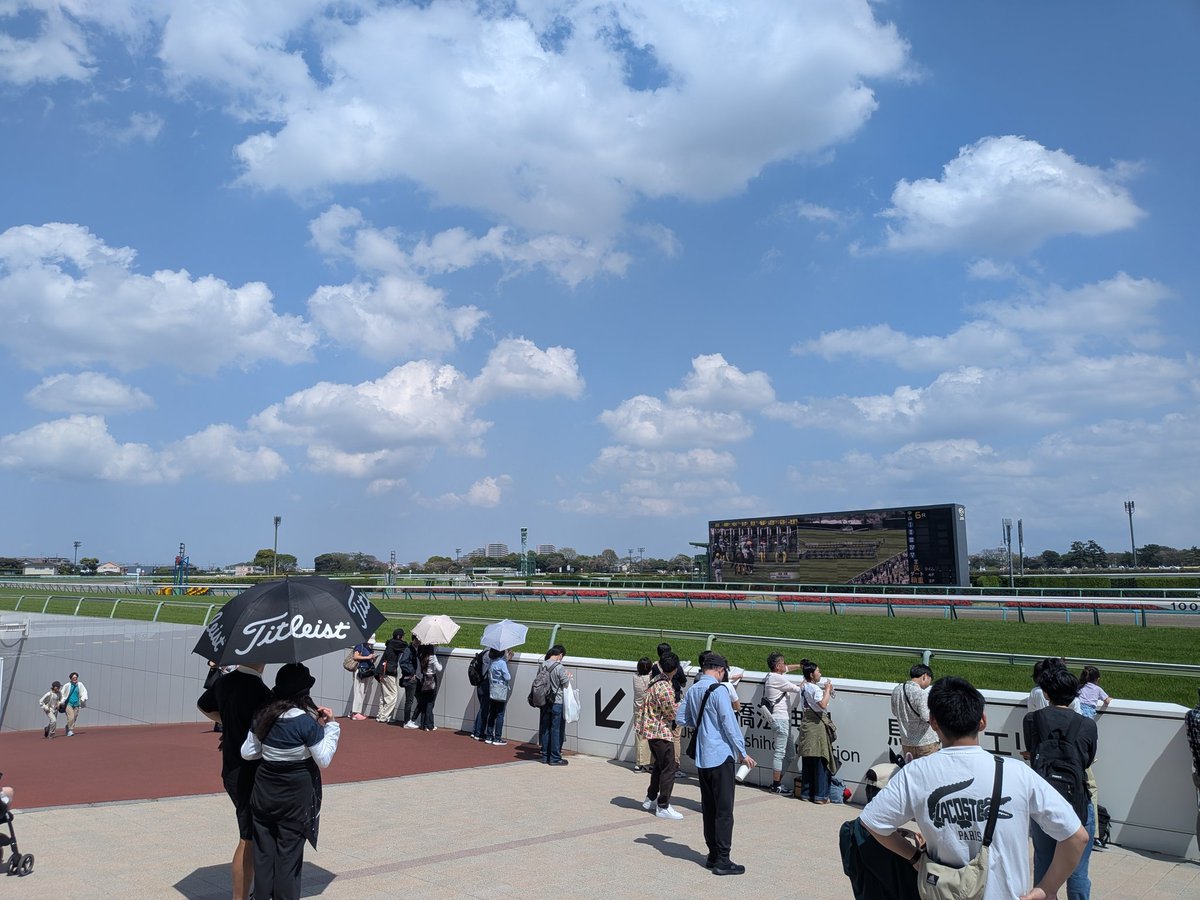 Yamabico/やまびこ tweet media