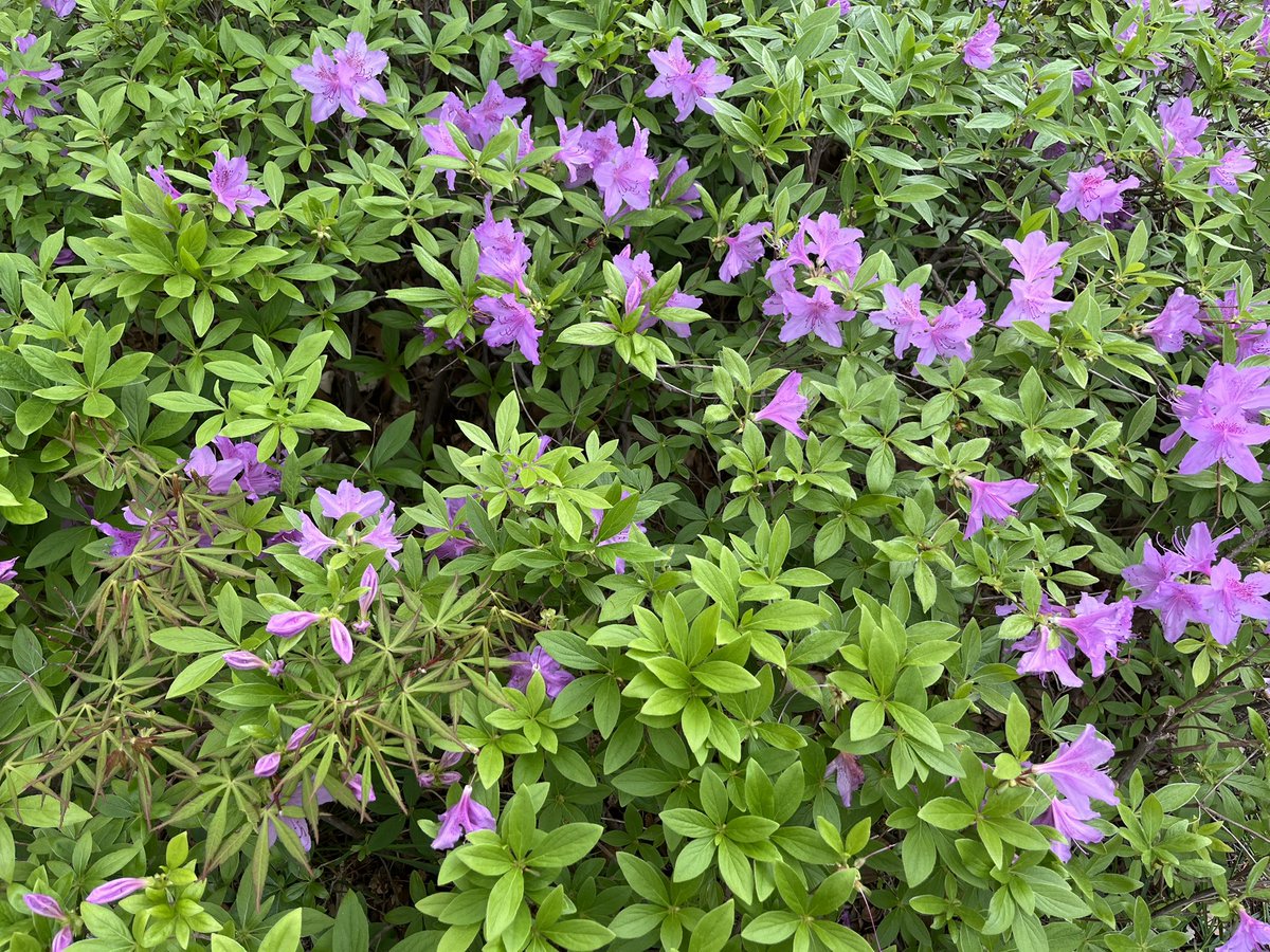 BEBB 🍂 tweet media