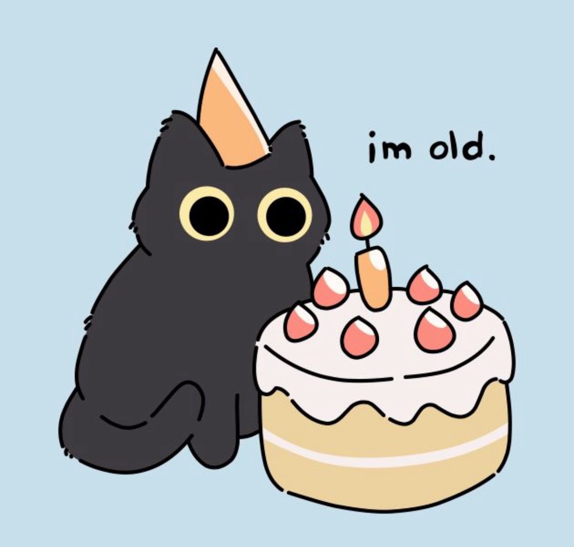 Salem🎬🇵🇸 tweet media