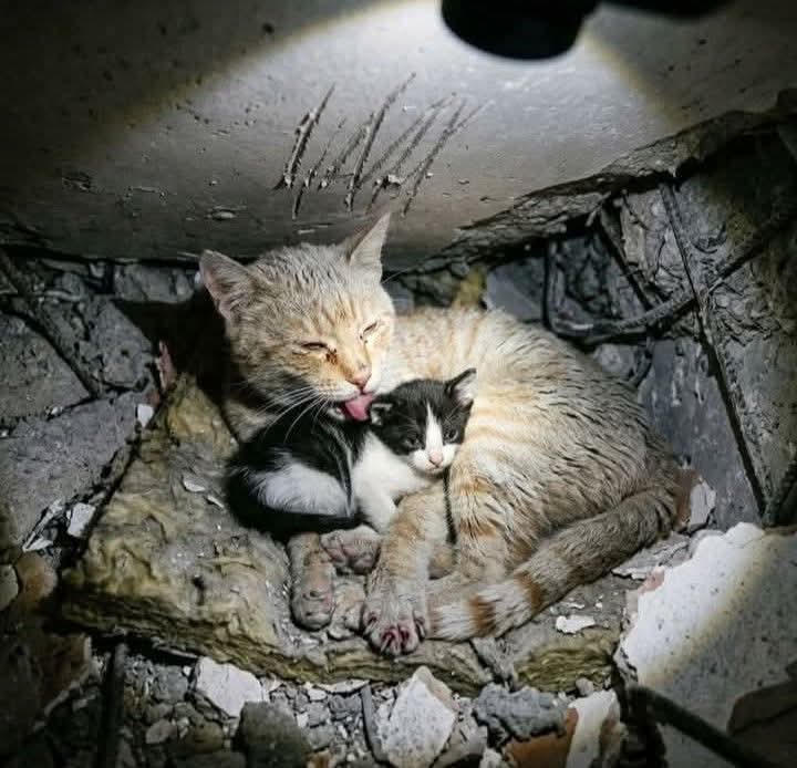 Patrizia💙 tweet media