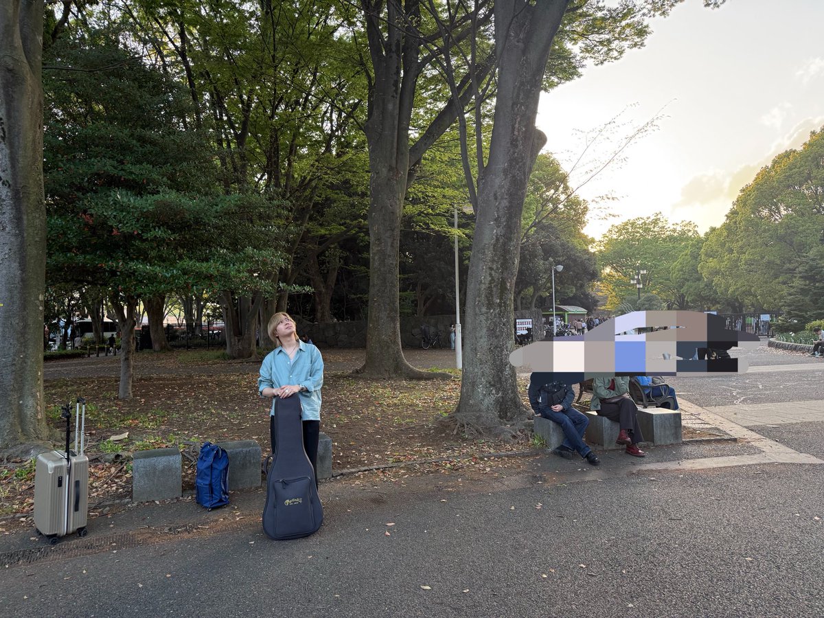 Absolute area tweet media