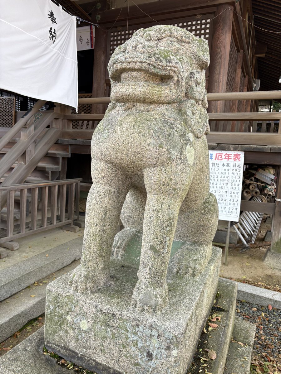 尾道その2
タイル小路と階段　
芳山邸跡地
タイムリープした神社　楠？
同じく　狛犬

明日は竹原地区に行く予定