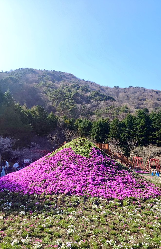 蒼華(ソウカ)⚙️🌆＋🎀🥟＋🐺☽ ໋꙳＋🦥🛎️＋🚬❤️‍🔥＋🌙🐈‍⬛＋🐍🛐 tweet media