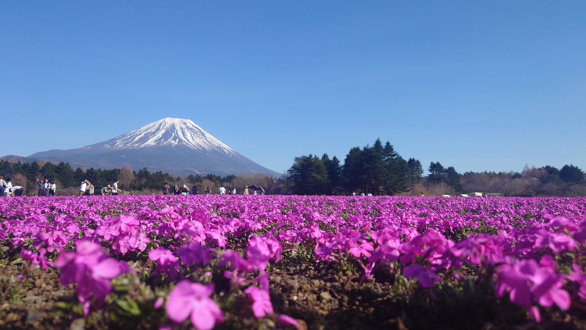 蒼華(ソウカ)⚙️🌆＋🎀🥟＋🐺☽ ໋꙳＋🦥🛎️＋🚬❤️‍🔥＋🌙🐈‍⬛＋🐍🛐 tweet media