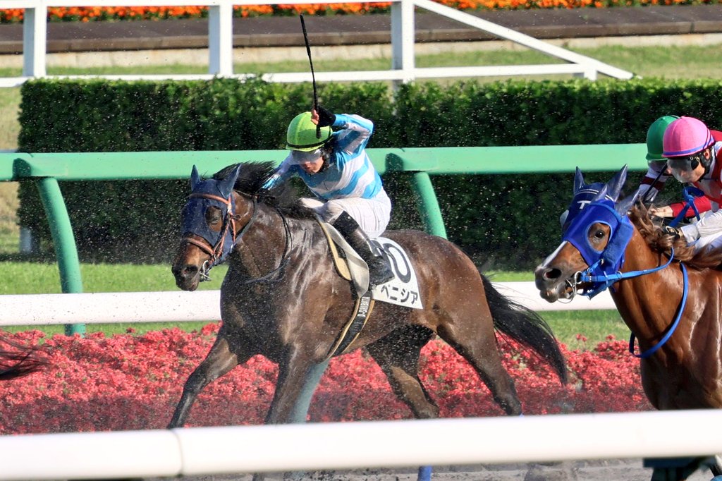 イッシー tweet media