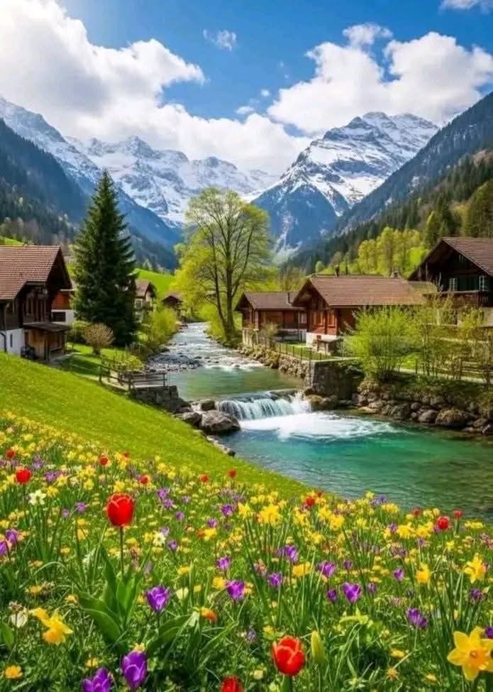 Prsamibcn's tweet image. #صباح_الخير #ⵜⵉⴼⴰⵡⵉⵏ #Buenos_Dias #Egun_on #Bon_Dia #goodmorning #Günaydın #おはよう_좋은아침이에요ً