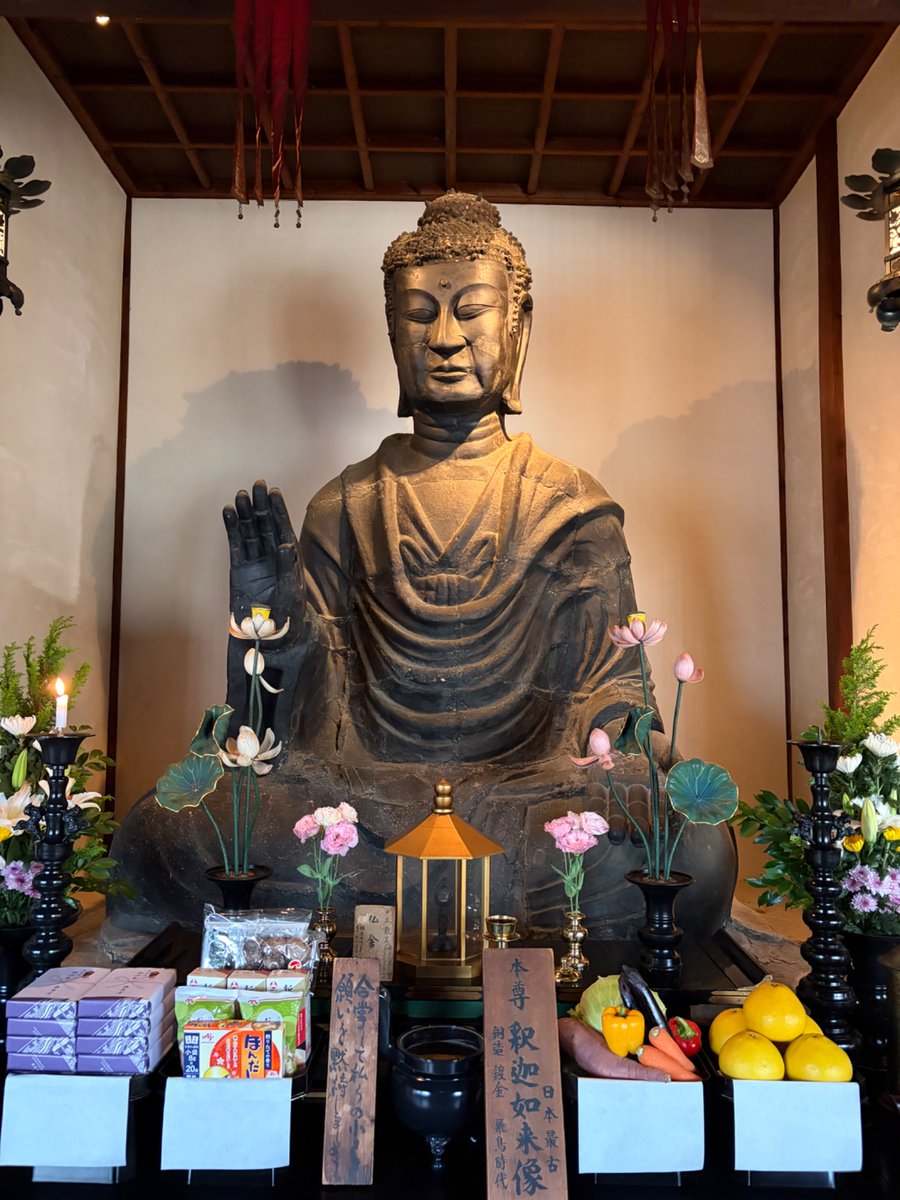 sanada🍃 tweet media