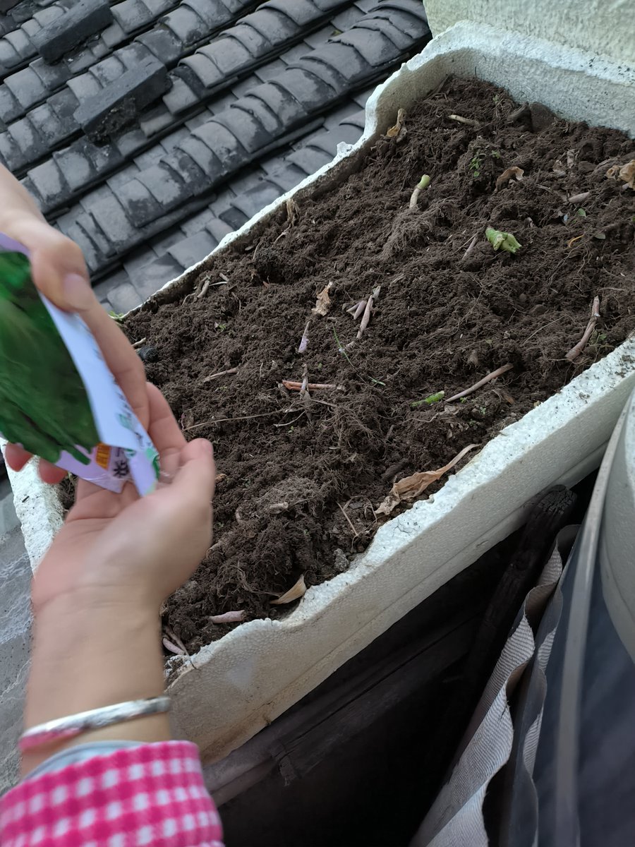 FUCHS Murielle tweet media