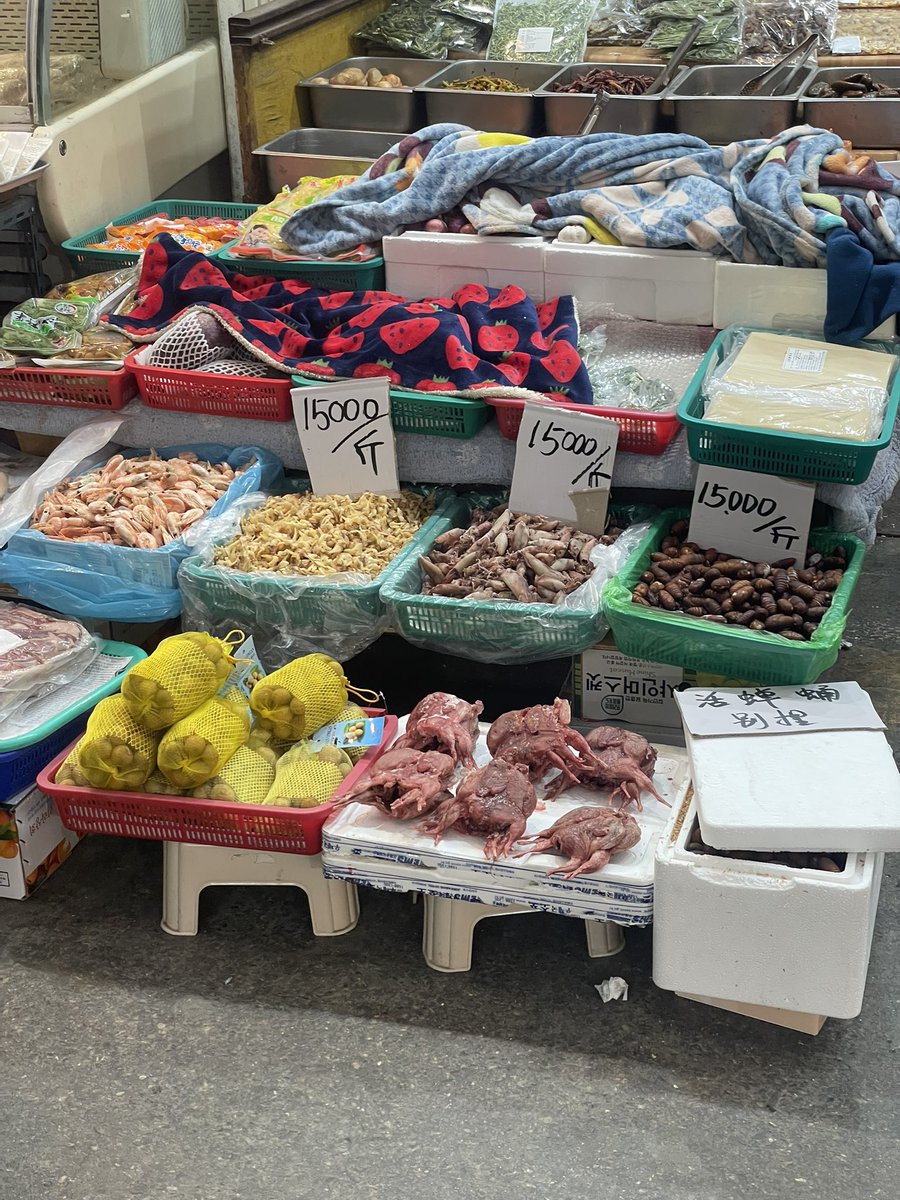 카스미(Kasumi) tweet media