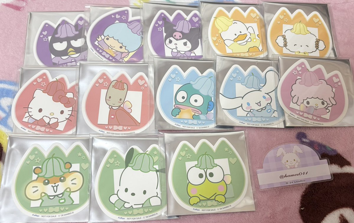 はむ⭐︎プロカ有 tweet media