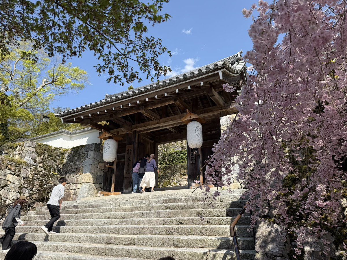 トミー tweet media