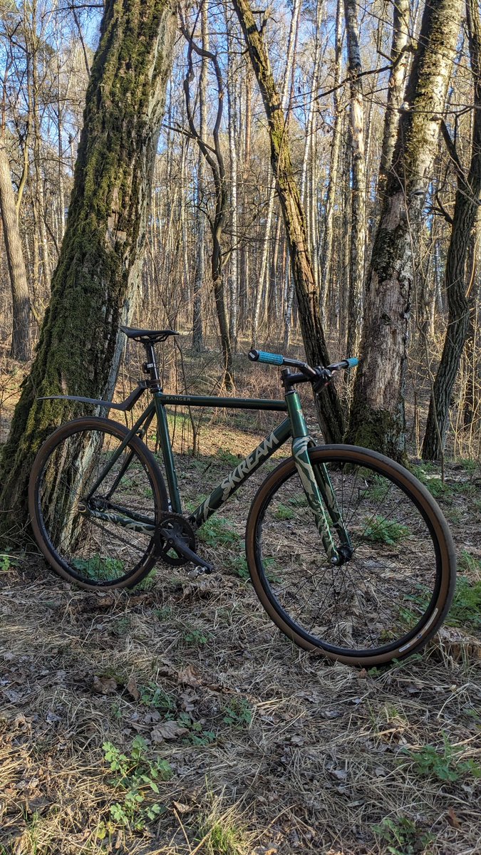 Дереалізація Борна tweet media