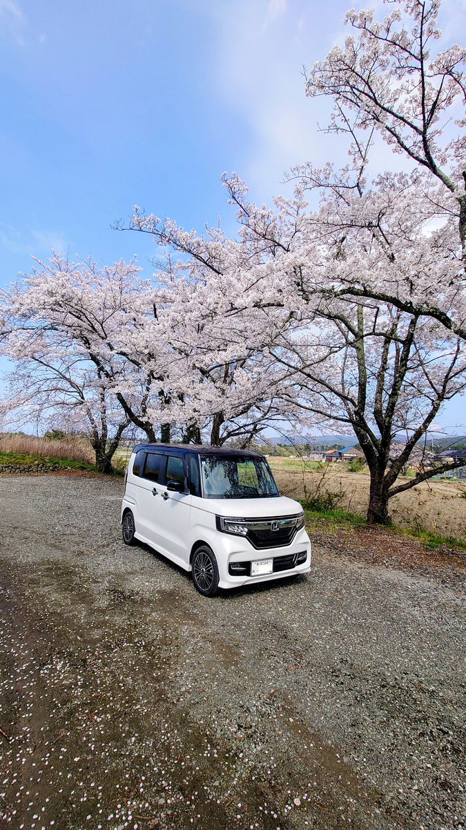PINO0622's tweet photo. 桜、散り始めたな。🌸
今日は、風が強くて、、、(T_T) https://t.co/8aKSo9huuT