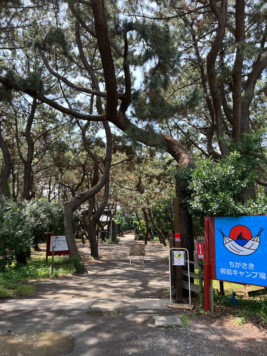 △🚲ⓈⓊⓂⒾ🚲△ tweet media