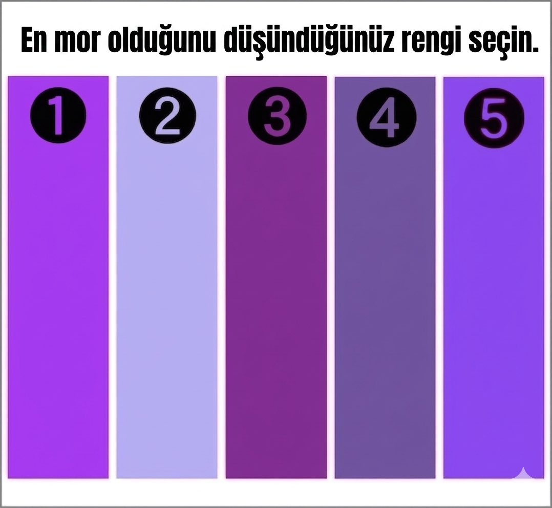 mєdoşᥫ᭡ tweet media