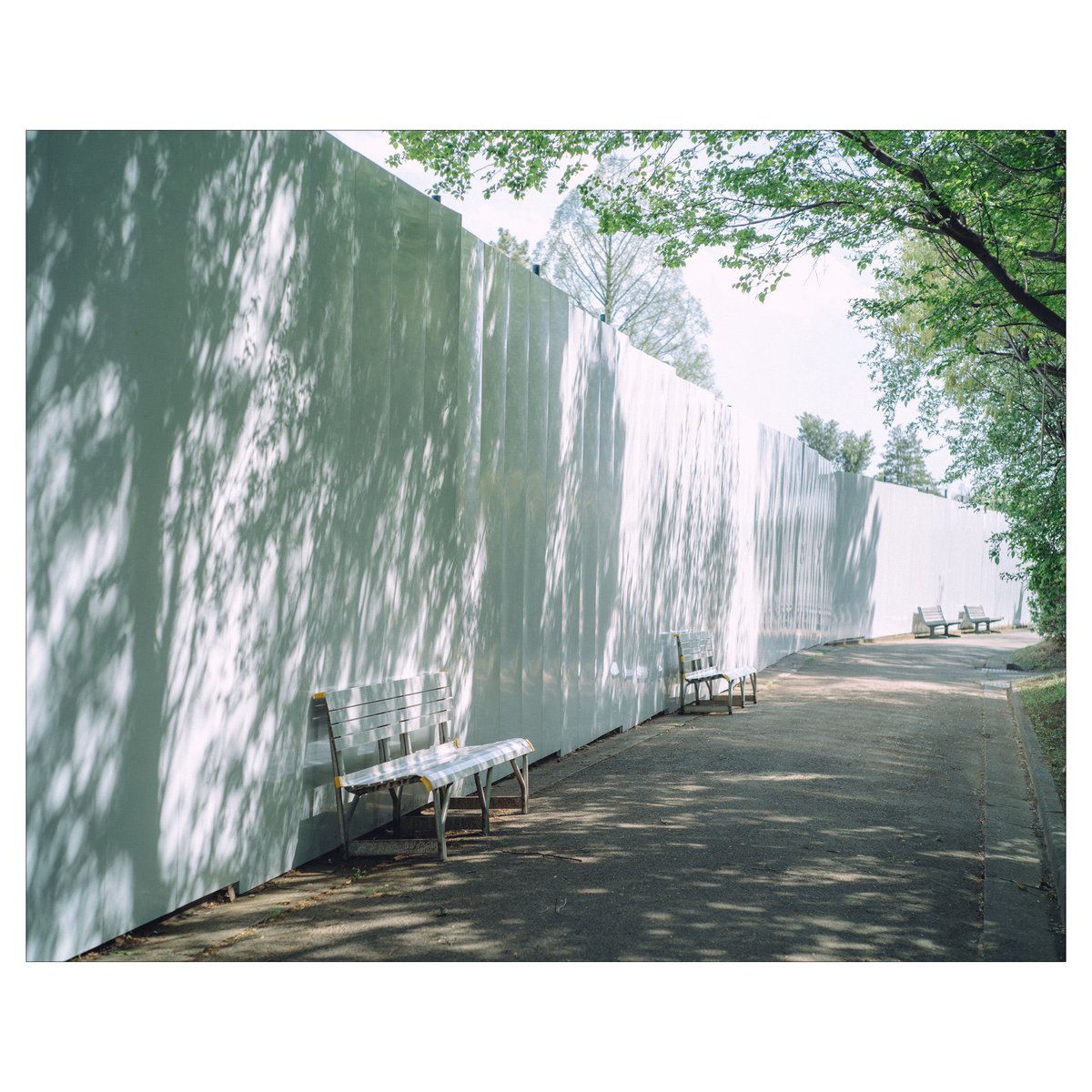 散歩中に特等席を発見。