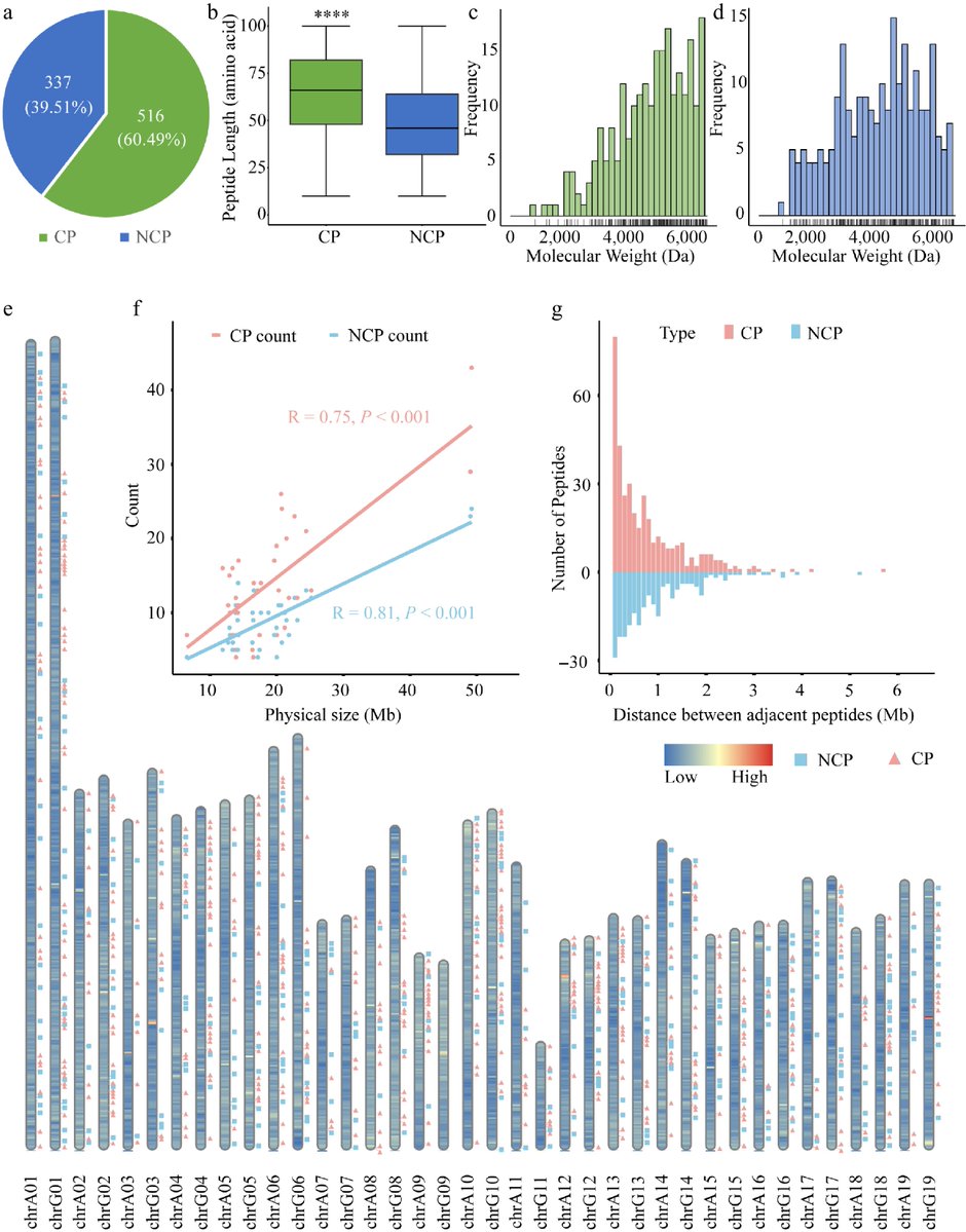 ForestryRes's tweet image. #ForestryRes #growth #protein #junkdna
Peptides hidden in poplar genes shape tree biology—shorter, lighter, tissue-specific, yet less conserved than classic proteins.
@MaximumAcademic @sci_plant @InstMolPlantSci
Details: maxapress.com/article/doi/10…