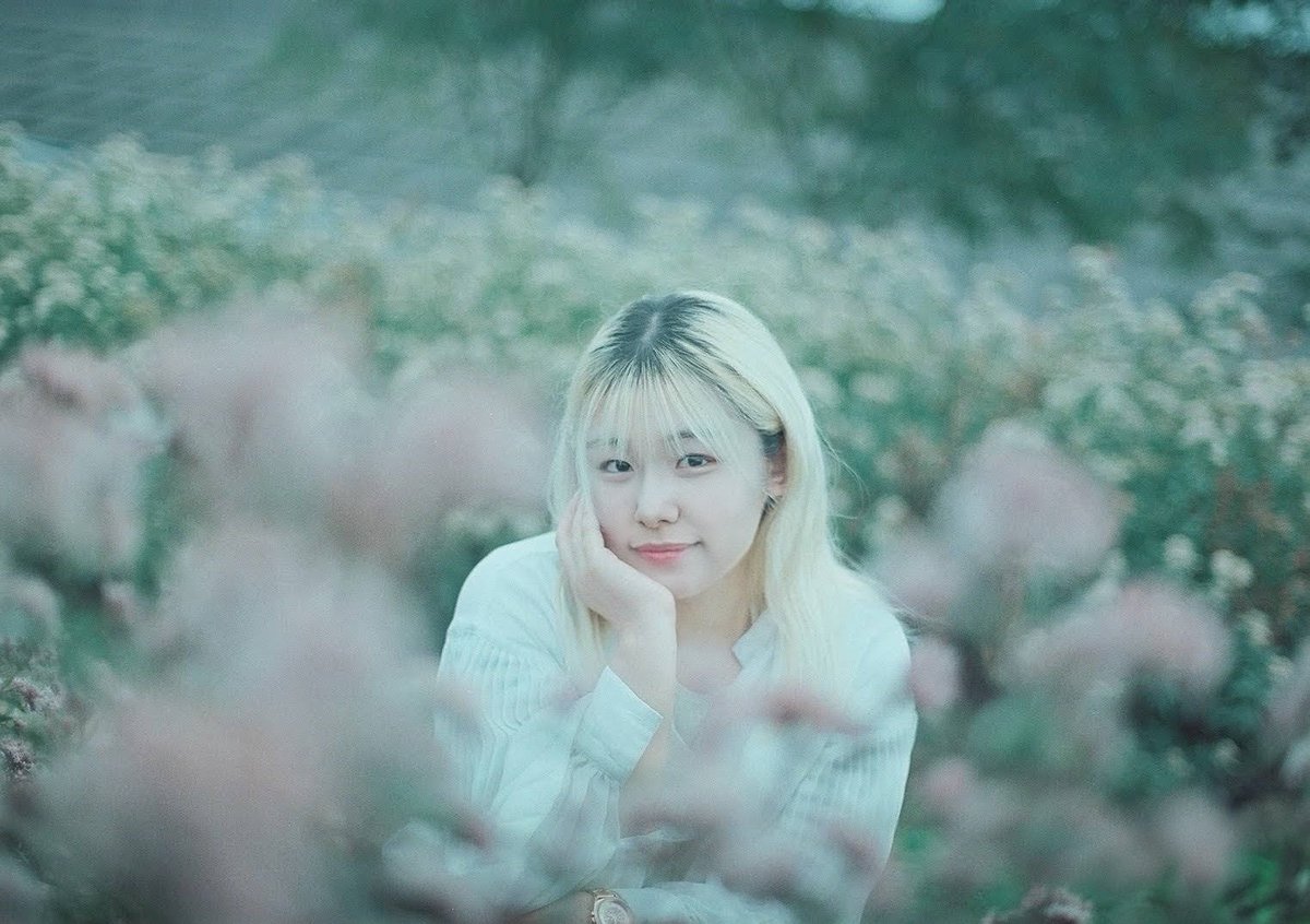 Solar🩵 tweet media