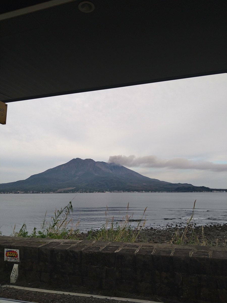 めちゃきん tweet media