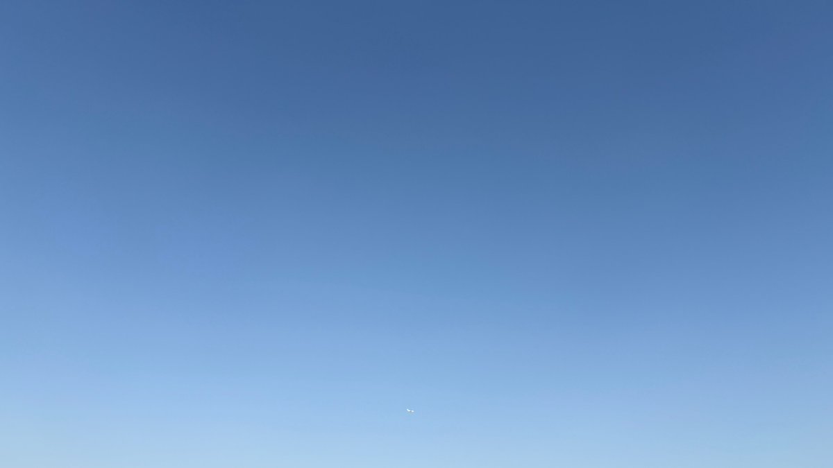 TACOS NAOMI tweet media