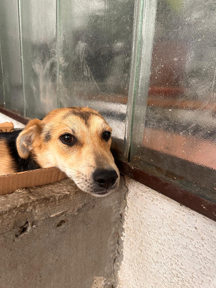 Sale se vratio tweet media