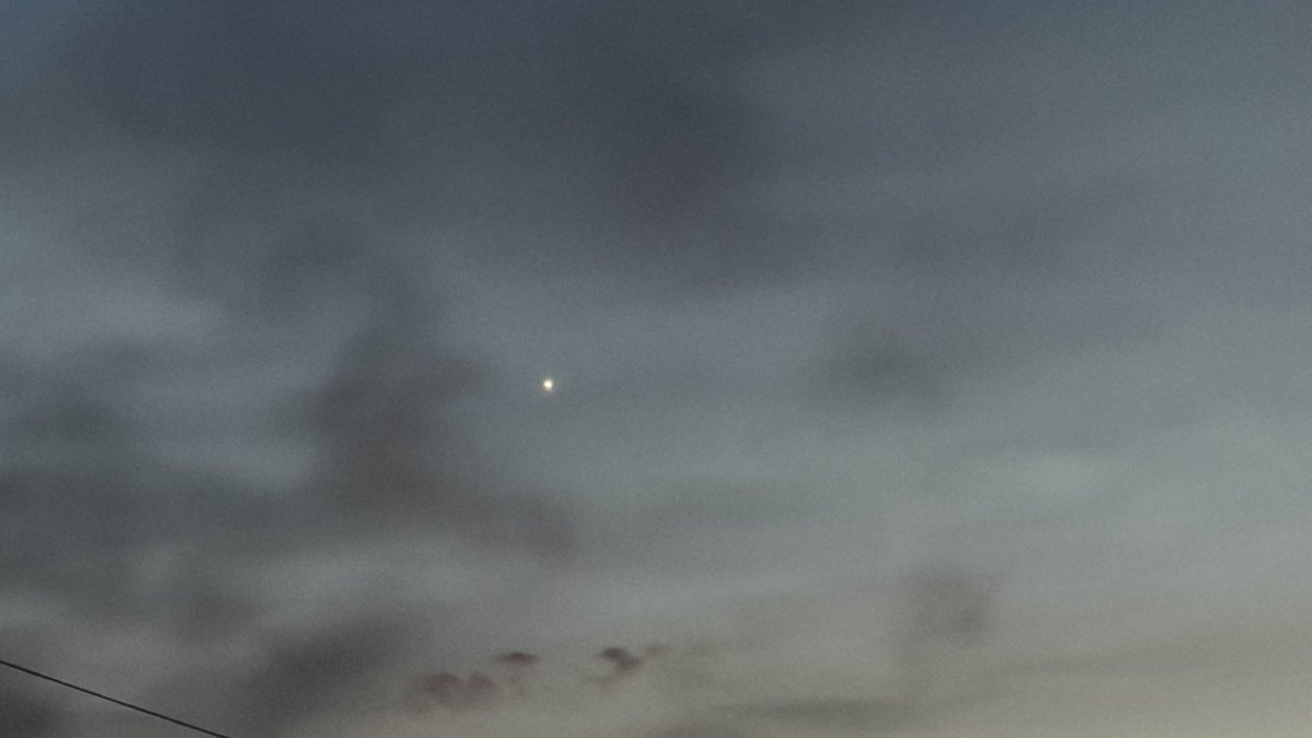 риша tweet media