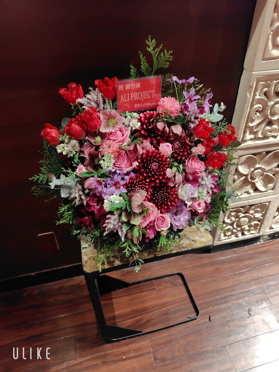 新年度に忙殺されてますが生きてますわ
ボロボロの身体を引きずってライブに参戦するくらいには、まだ元気💪