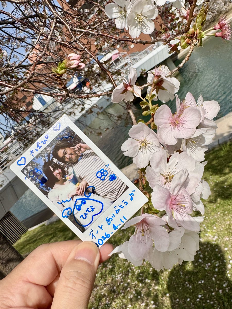 さばぴ🐥✨ tweet media