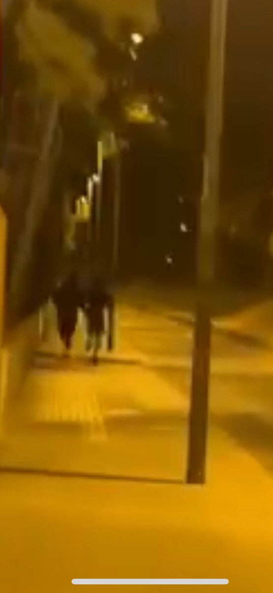 _SZ1312_ tweet media