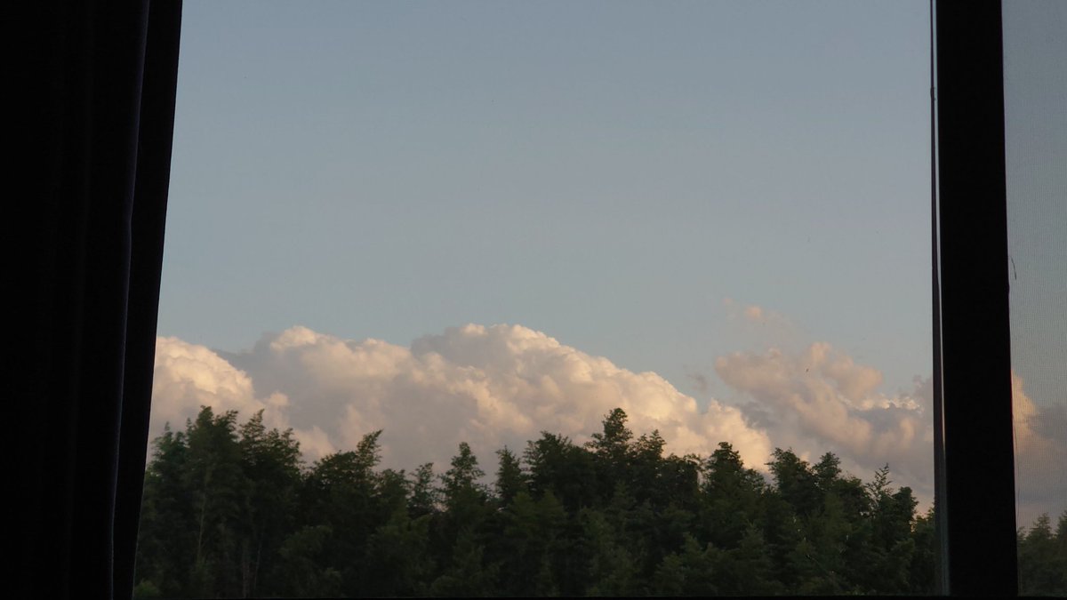 今日めちゃ夏っぽい雲だな。