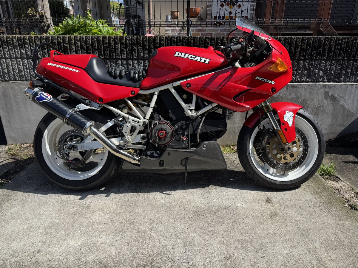 ojizou8's tweet photo. 午前中にお散歩してきた
#ducati #900ss https://t.co/VTTXfLwEVH