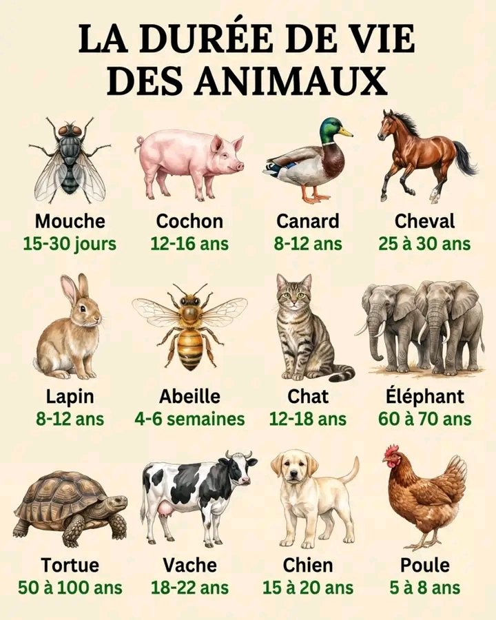 Junior Kaya tweet media