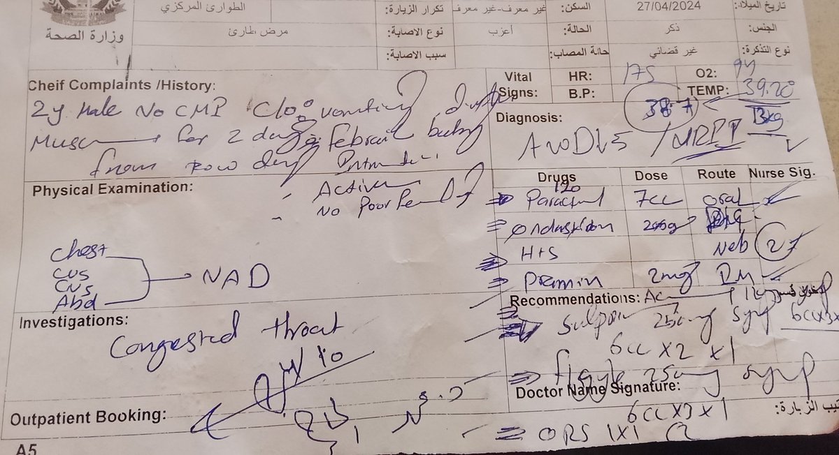 Nevin🇵🇸 tweet media