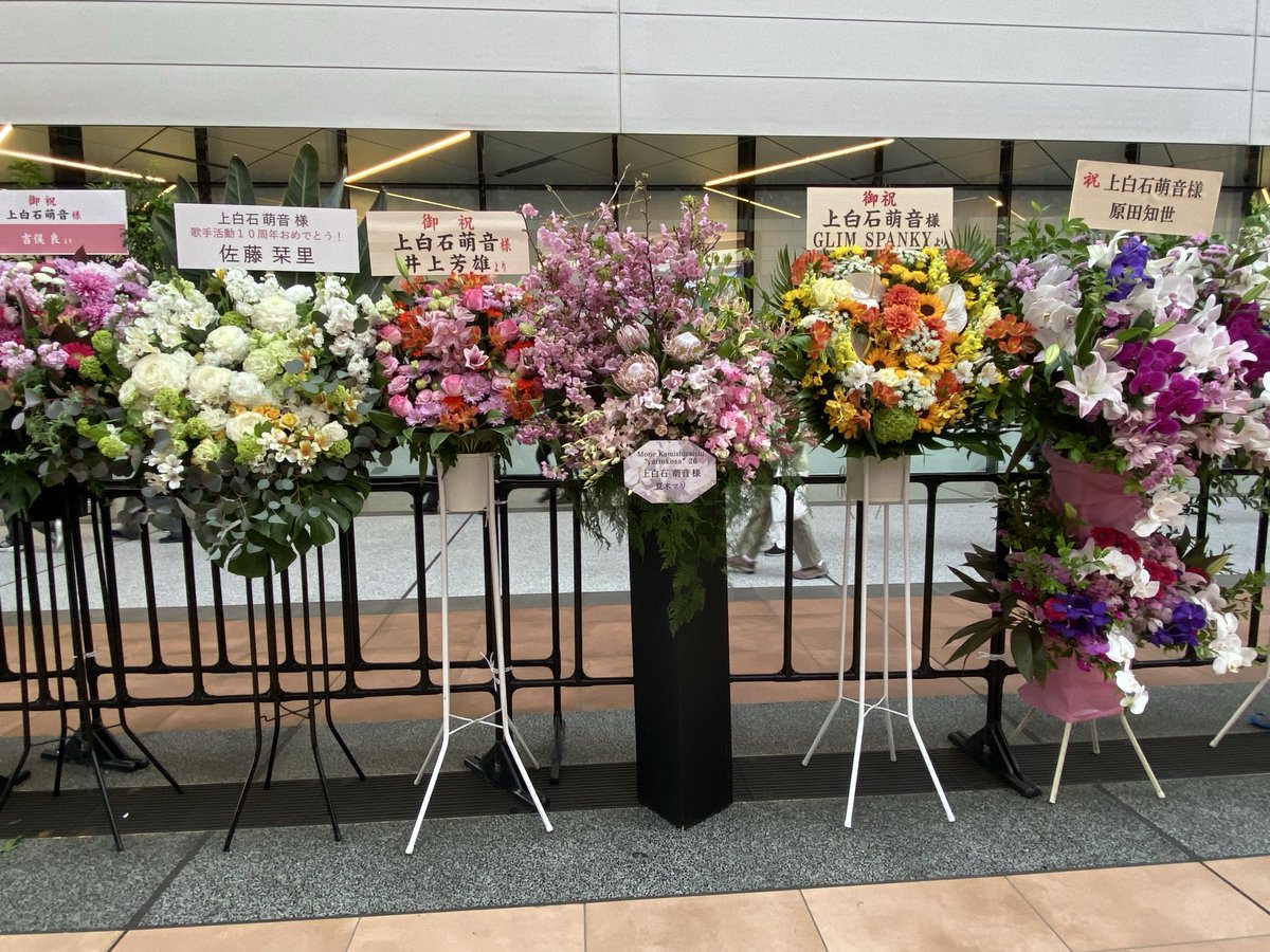 310k.🍋 tweet media