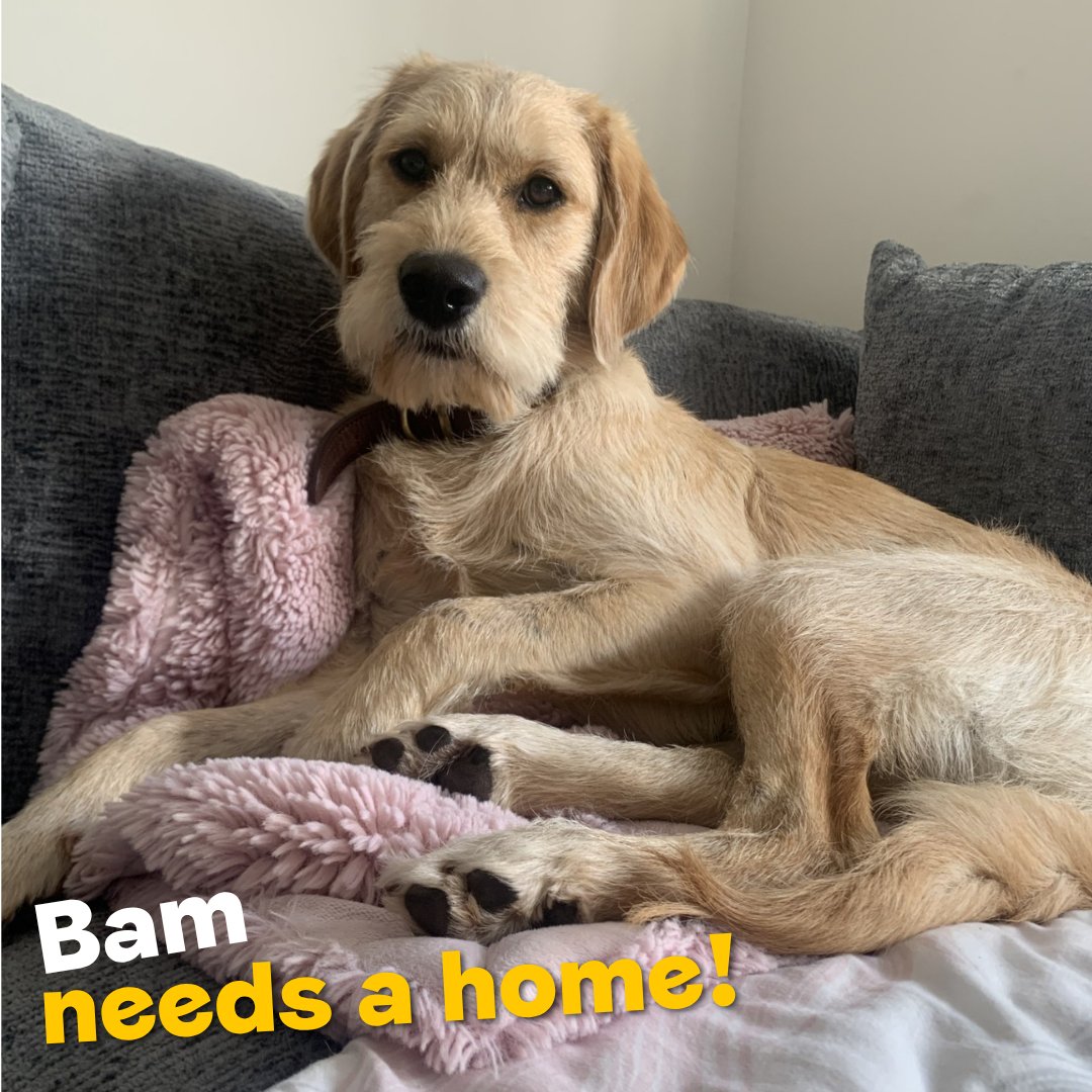 DT Ilfracombe tweet media