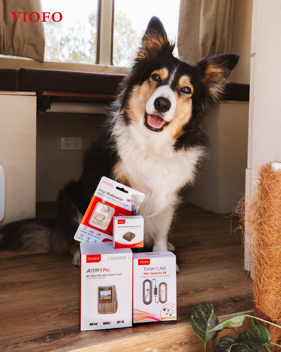 viofo's tweet image. To us, they are family. To them, we are their entire world.❤️ 
From ensuring a safe journey to capturing those spontaneous tail wags in the back seat, we’re here to preserve the memories that make every mile worth it.🚗✨👇
#viofo #dashcam #caraccessories #nationalpetday #petday