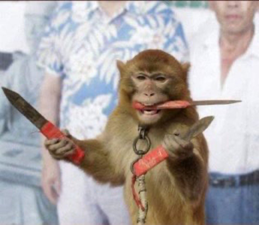 Dóuglas Fir🗽 tweet media