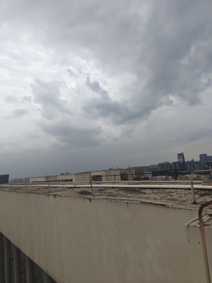 🐭老鼠国王 tweet media