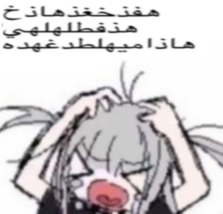 كيرو tweet media