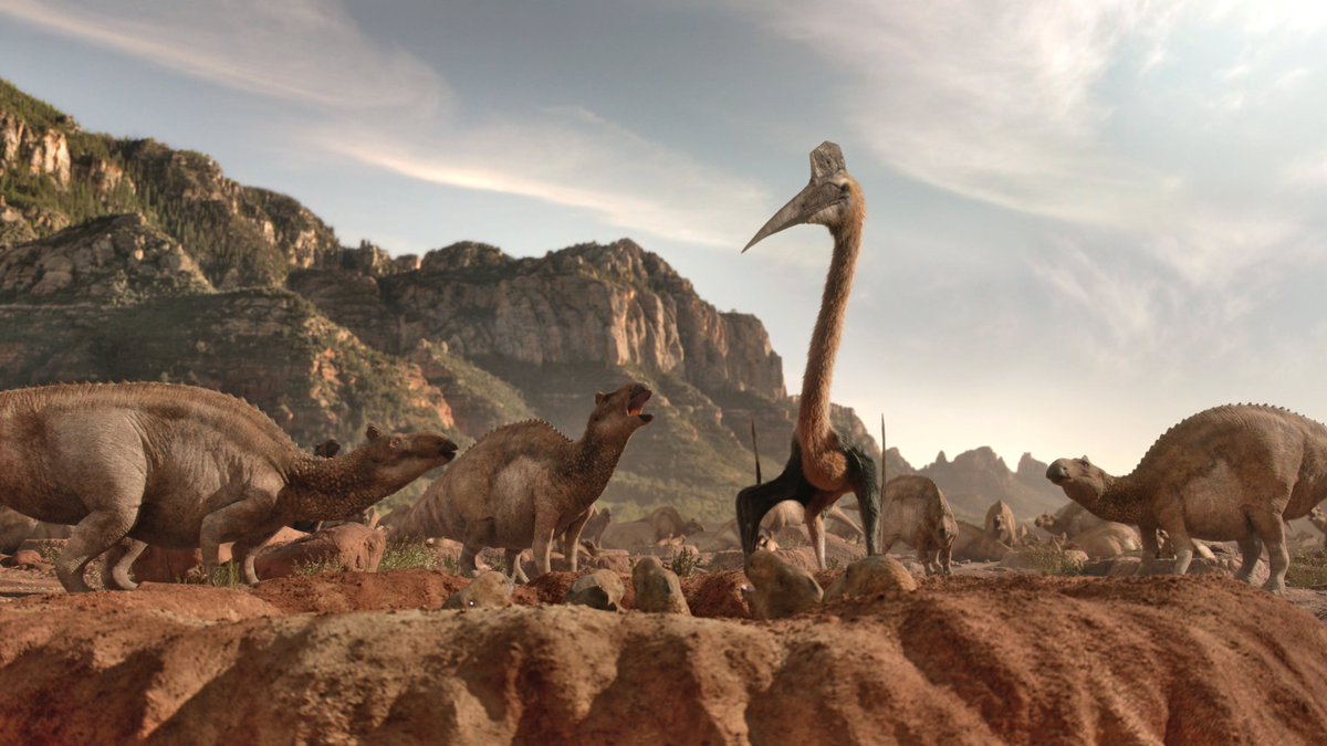 raftingzalmoxes's tweet image. #LifeOnOurPlanet #TheDinosaurs
Poor Arambourgiania. It really thought that this was just another casual stroll in the canteen.
