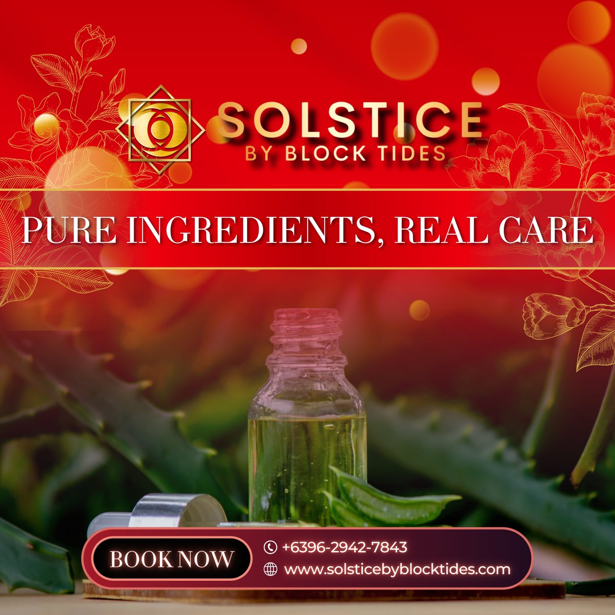 Solstice tweet media