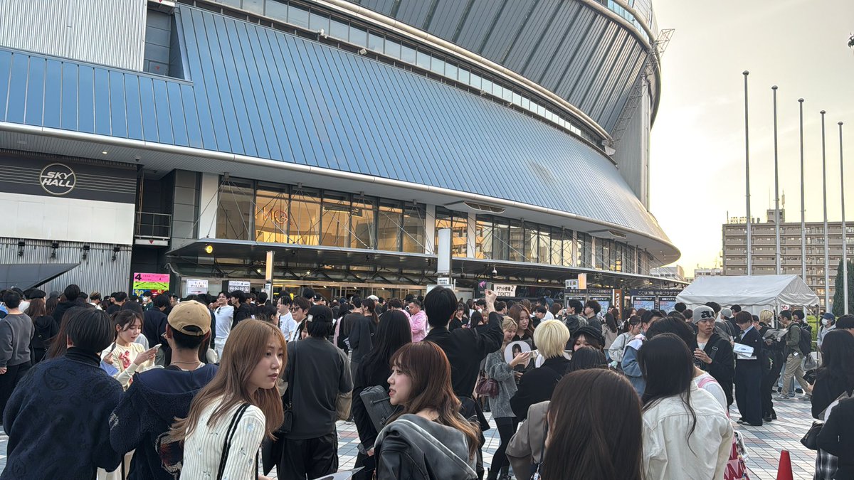 カツオにゃんこっ tweet media