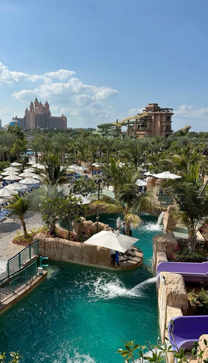 ريم تَوّاق tweet media