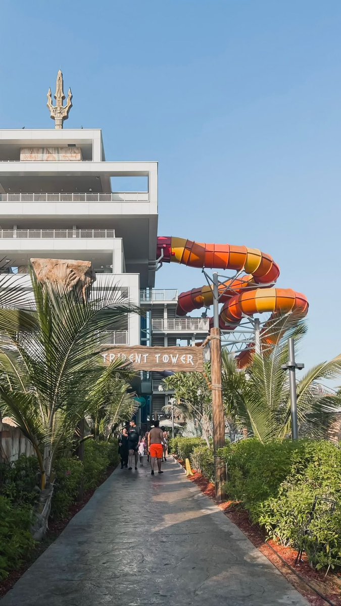 ريم تَوّاق tweet media