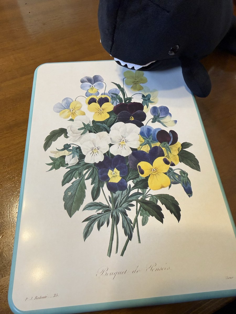 入手！
なんと今日はお茶会…！🫖