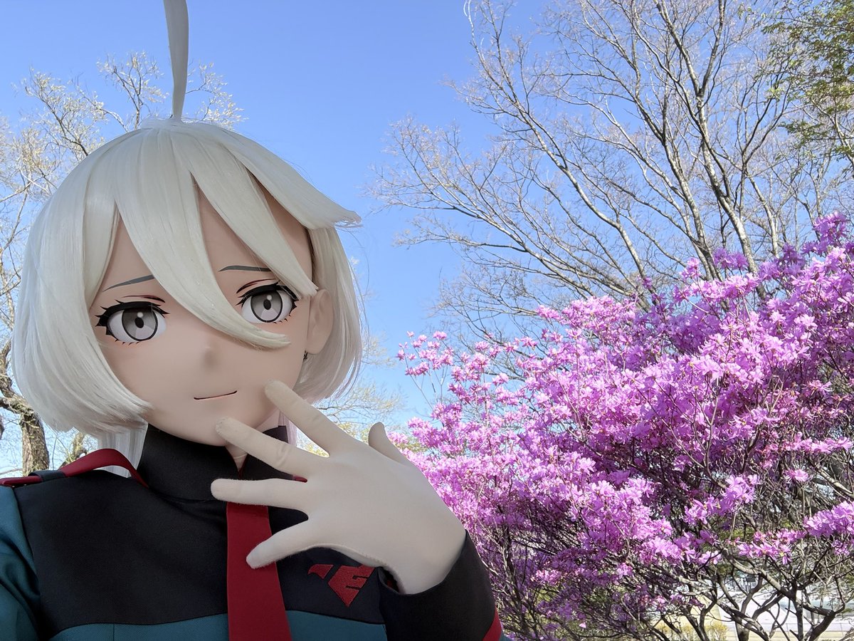 しま🏝️島灰🏝️ tweet media