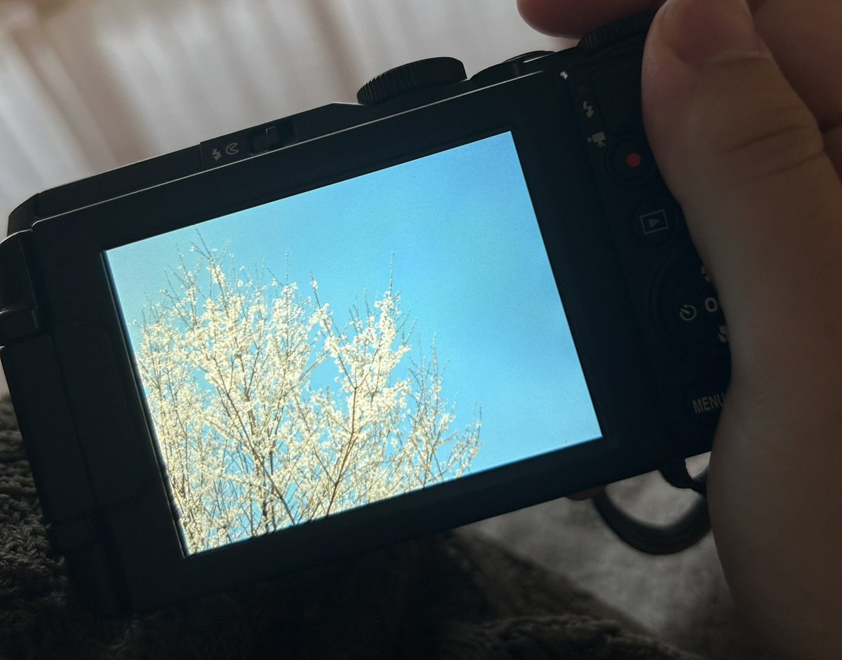 poyon (@pongraphy) / Posts / X