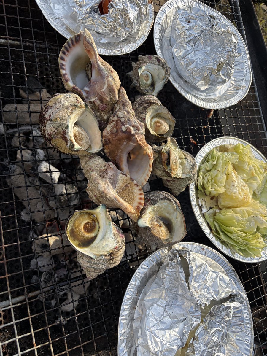 もなみん＠海外オンライン秘書＆外貨稼ぎのサポート（英語×在宅で人生デザイン🌱） tweet media